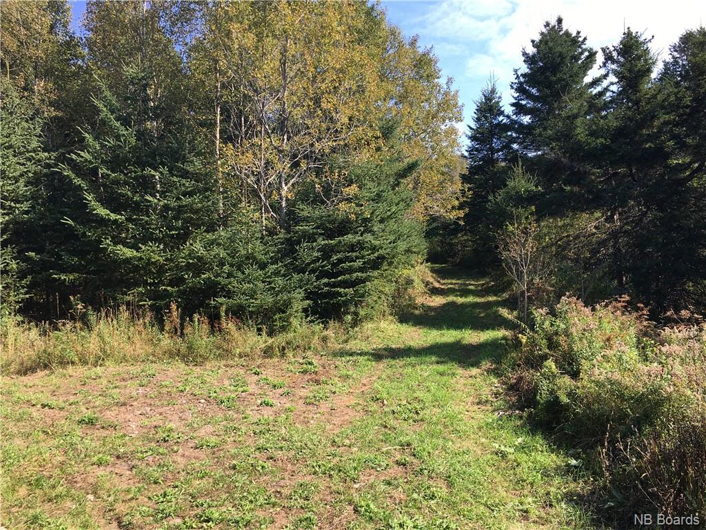 - Ashburn Road, Saint John, New Brunswick, Canada