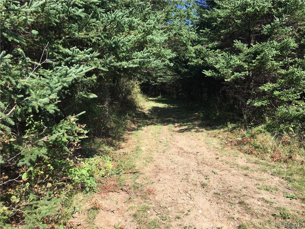 - Ashburn Road, Saint John, New Brunswick, Canada