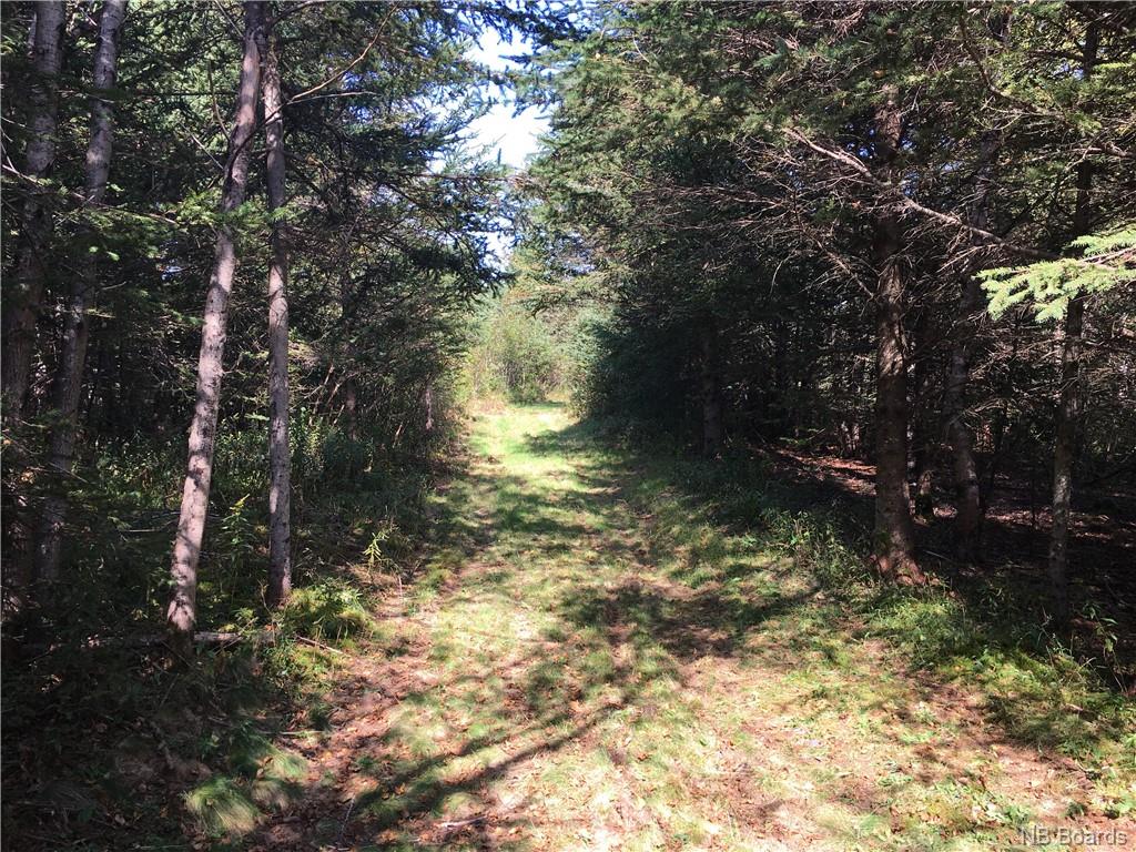- Ashburn Road, Saint John, New Brunswick, Canada