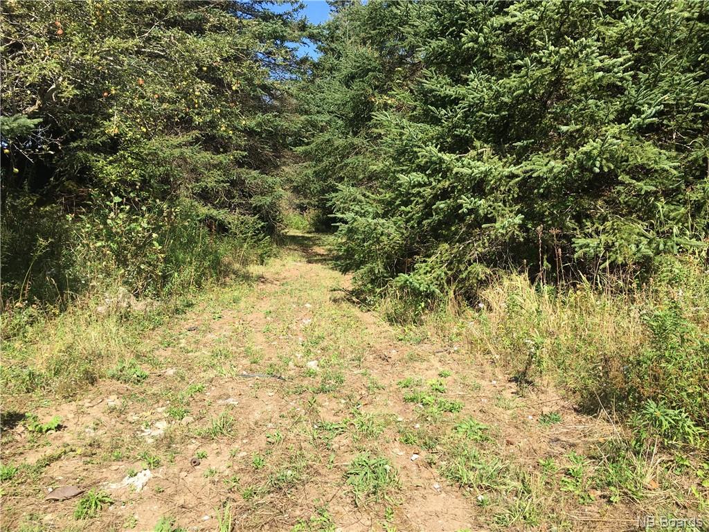 - Ashburn Road, Saint John, New Brunswick, Canada
