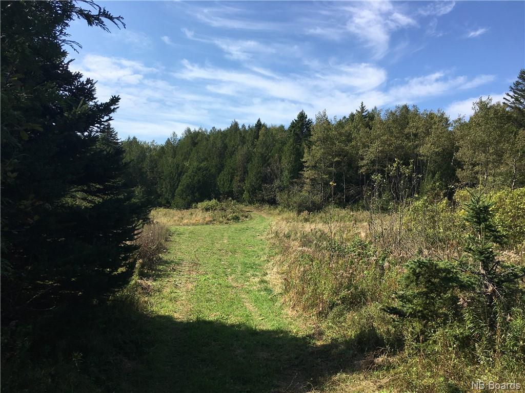 - Ashburn Road, Saint John, New Brunswick, Canada