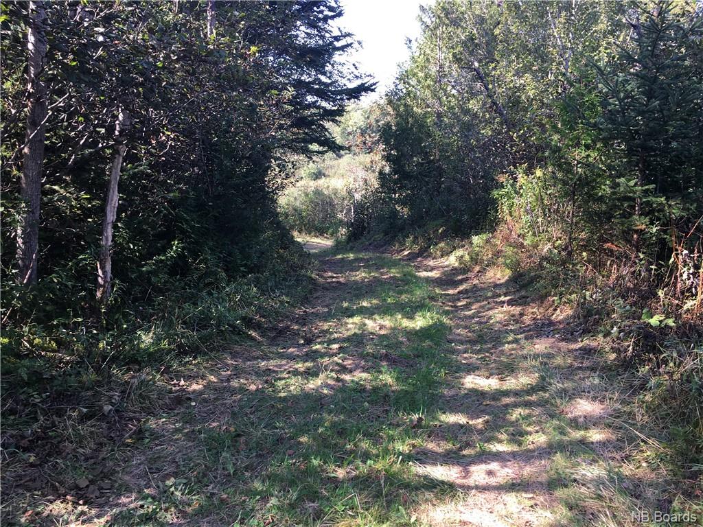 - Ashburn Road, Saint John, New Brunswick, Canada