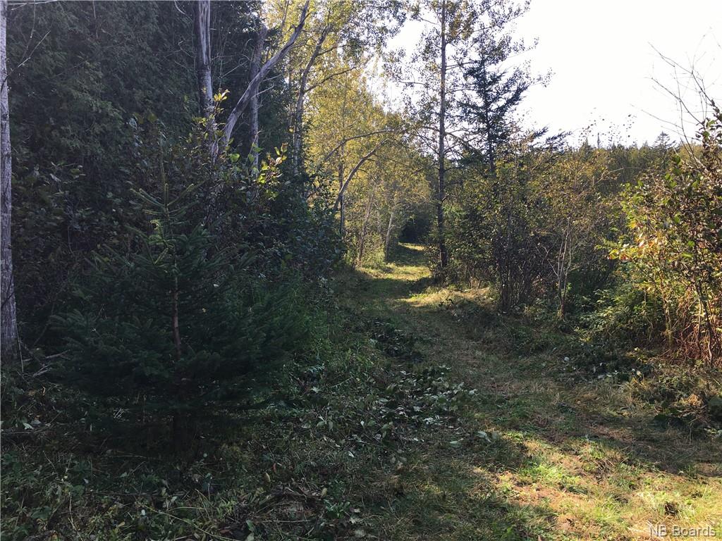 - Ashburn Road, Saint John, New Brunswick, Canada