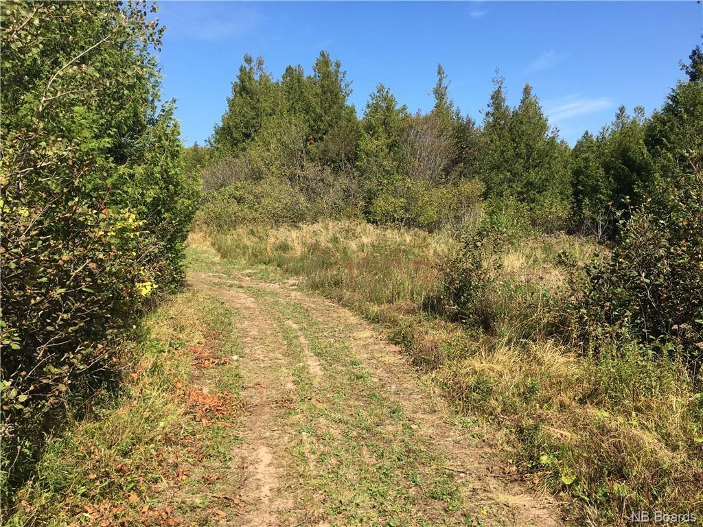 - Ashburn Road, Saint John, New Brunswick, Canada