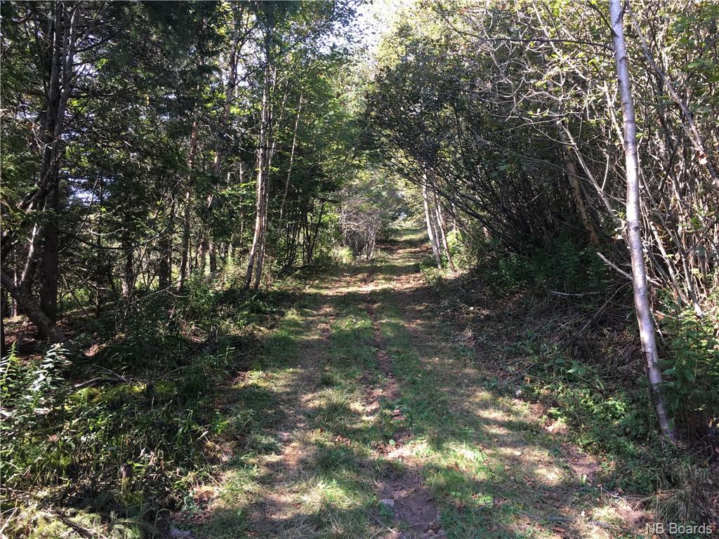- Ashburn Road, Saint John, New Brunswick, Canada