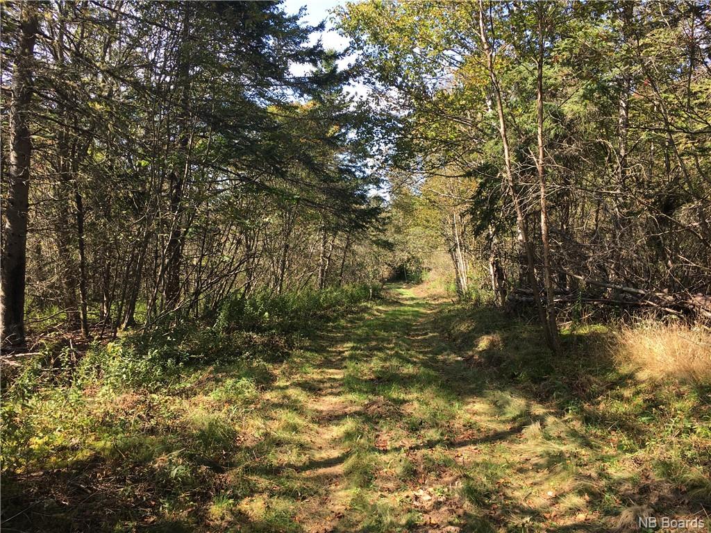 - Ashburn Road, Saint John, New Brunswick, Canada