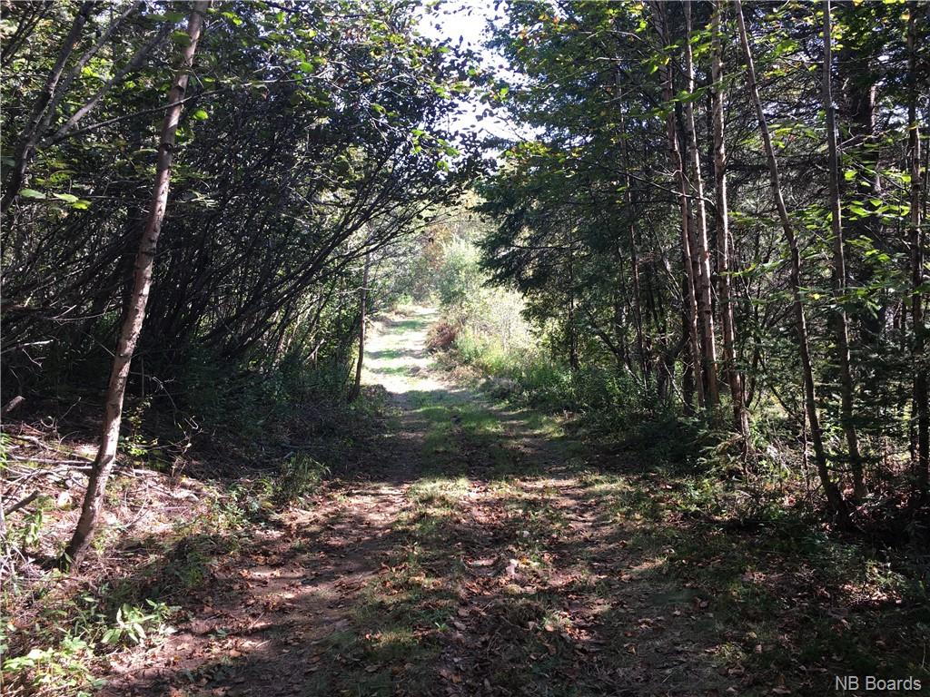 - Ashburn Road, Saint John, New Brunswick, Canada