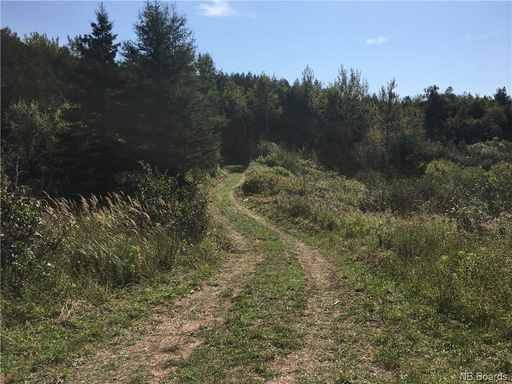 - Ashburn Road, Saint John, New Brunswick, Canada