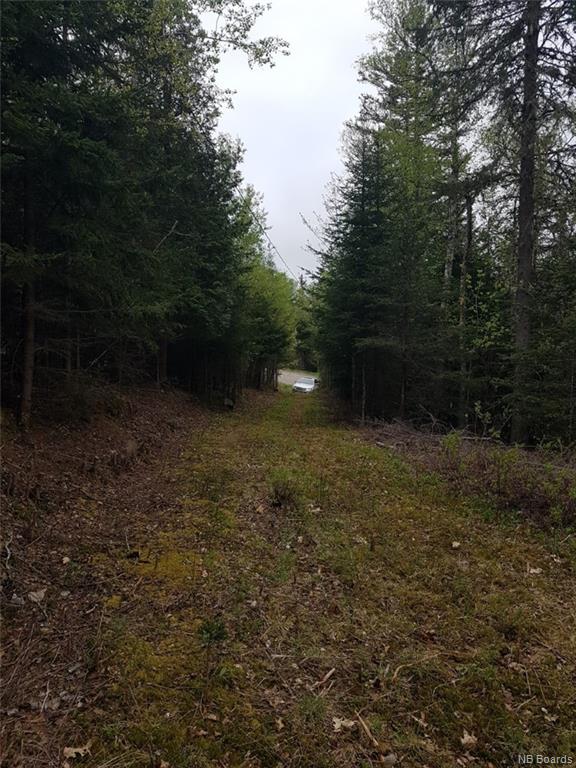 14 Peters Hill Road, Kingston, New Brunswick, Canada