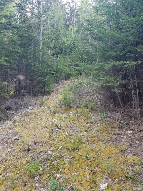 14 Peters Hill Road, Kingston, New Brunswick, Canada