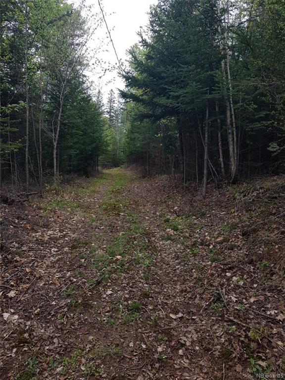 14 Peters Hill Road, Kingston, New Brunswick, Canada