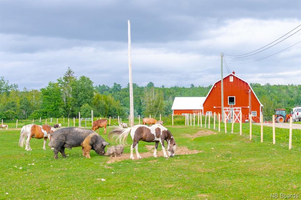 1562 Canada Street, Nashwaak, New Brunswick, Canada