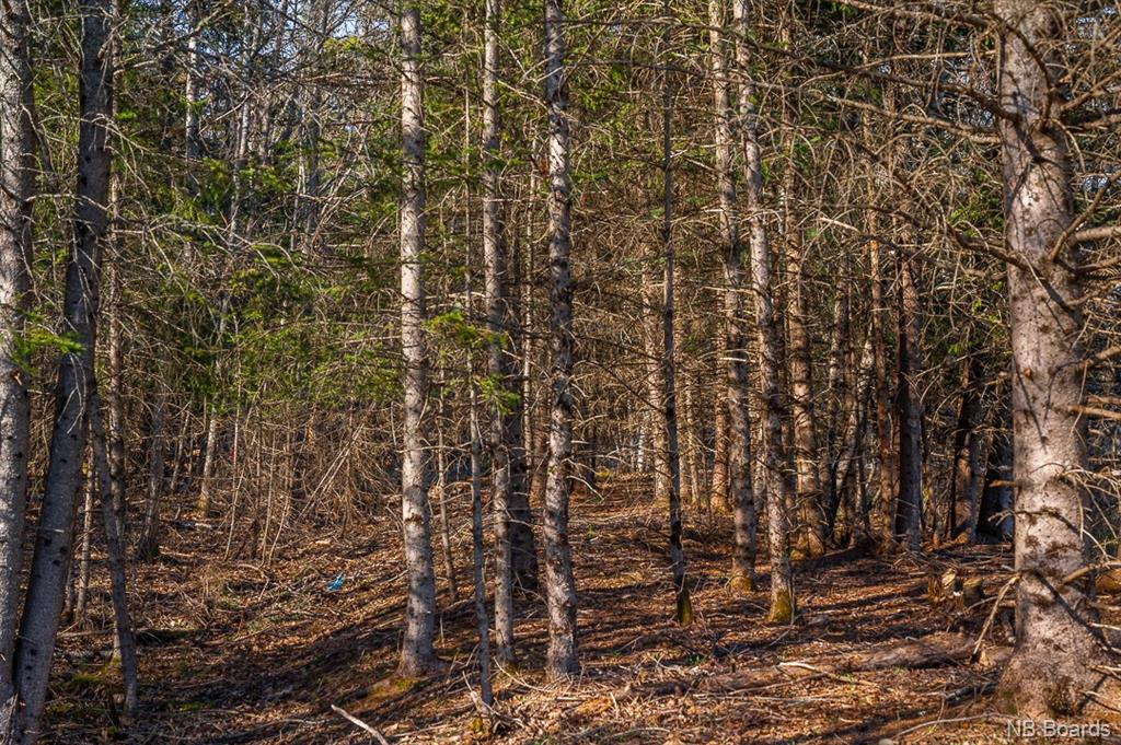 181 Sunbury Drive, Fredericton Junction, New Brunswick, Canada
