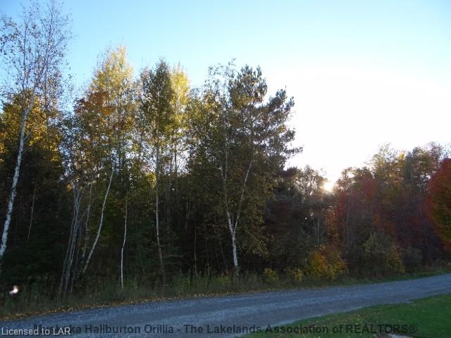 3 GEHRKES GOLDEN GLADE Road, Port Loring Ontario, Canada