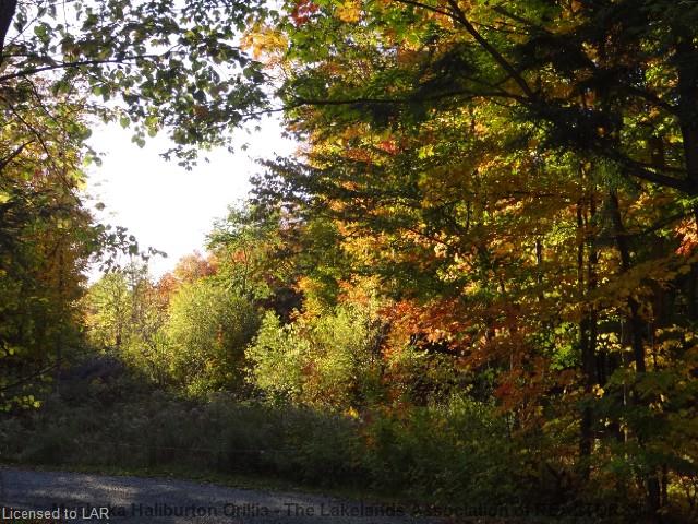 69-B GEHRKES GOLDEN GLADE Road, Port Loring Ontario, Canada
