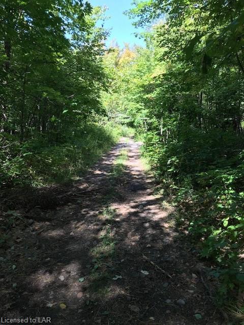 OLD NIPISSING Road, Commanda Ontario, Canada