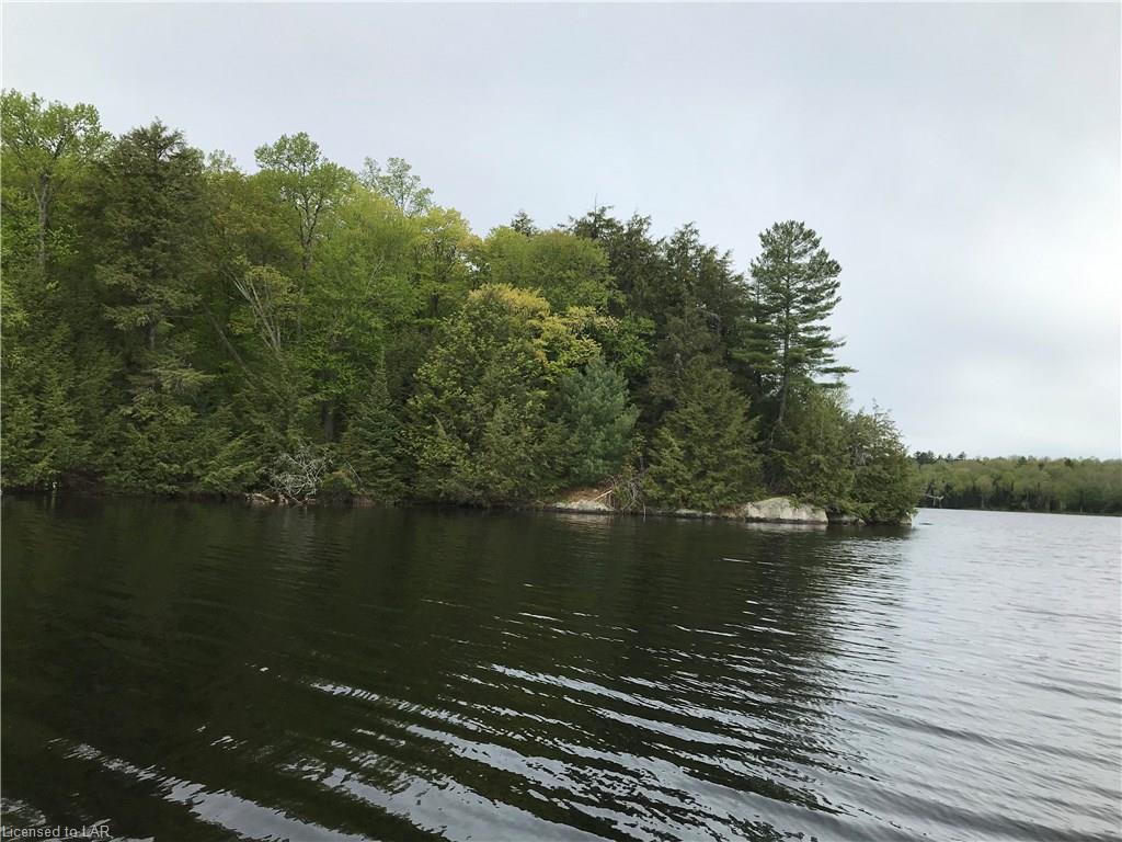 WAUQUIMAKOG (WILSON) Lake, Port Loring Ontario, Canada