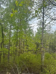 Part 14 & 15/Part 16 & 17 Pupore West Road, Skead Ontario, Canada