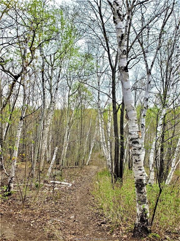 190 Kingsmount Boulevard, Sudbury, Ontario, Canada