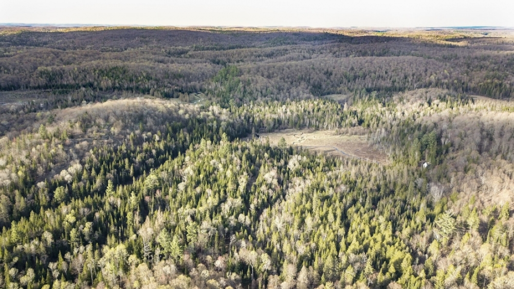 Lot 5, Con 15, Hwy 118, Highlands East Ontario, Canada