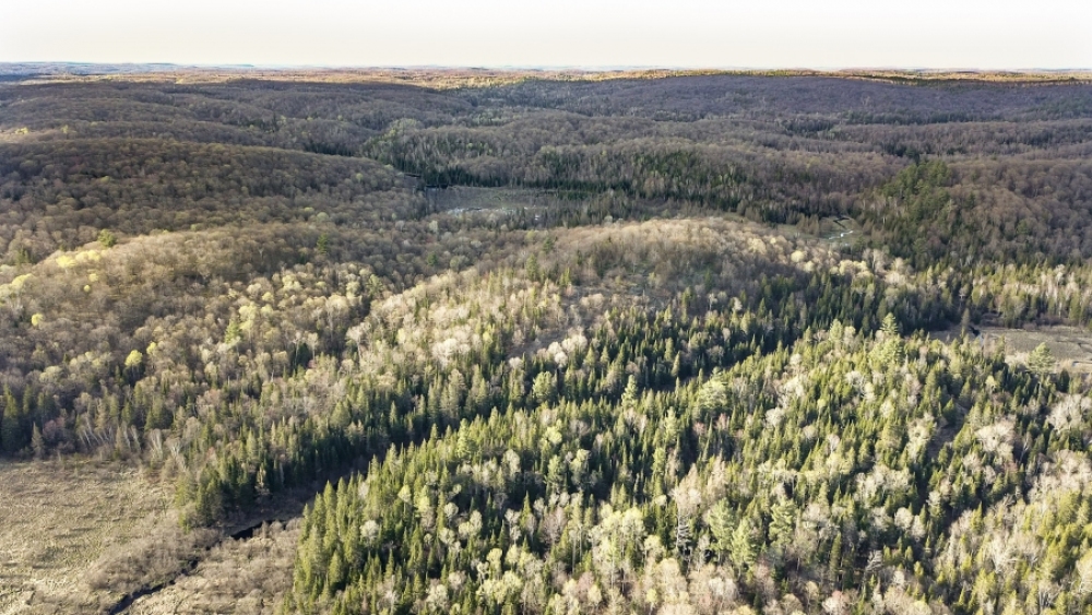 Lot 5, Con 15, Hwy 118, Highlands East Ontario, Canada