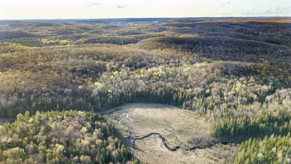 Lot 5, Con 15, Hwy 118, Highlands East Ontario, Canada