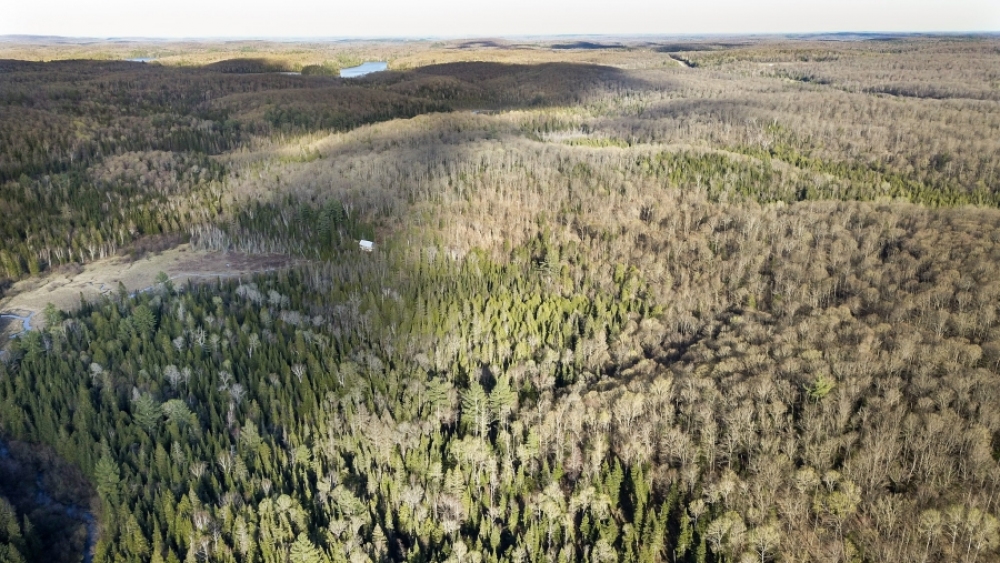 Lot 5, Con 15, Hwy 118, Highlands East Ontario, Canada