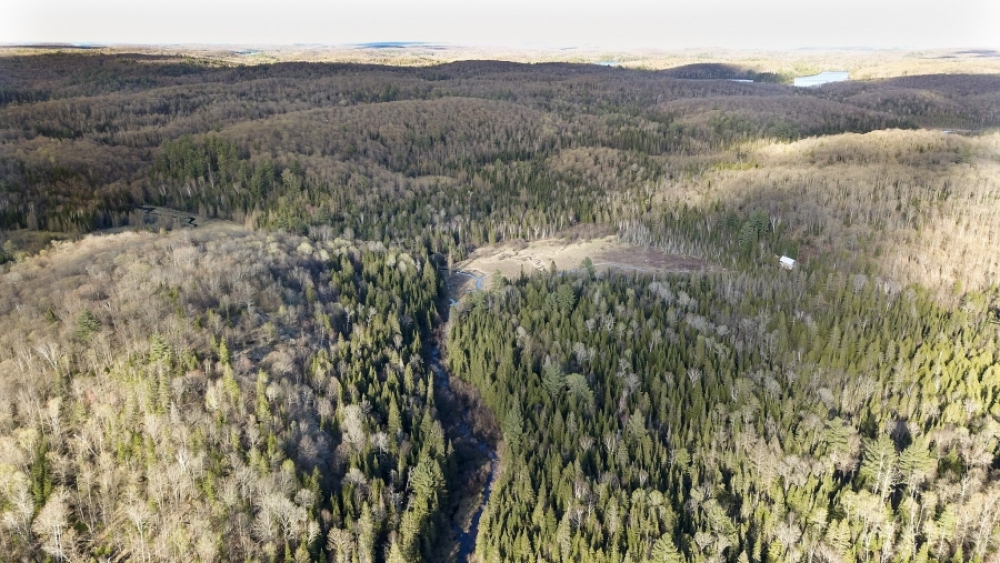 Lot 5, Con 15, Hwy 118, Highlands East Ontario, Canada