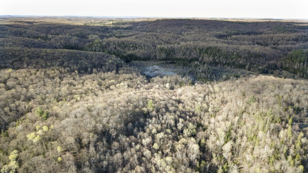 Lot 5, Con 15, Hwy 118, Highlands East Ontario, Canada