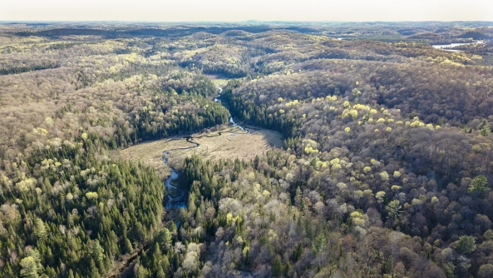 Lot 5, Con 15, Hwy 118, Highlands East Ontario, Canada