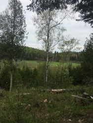 Lot 5, Con 15, Hwy 118, Highlands East Ontario, Canada