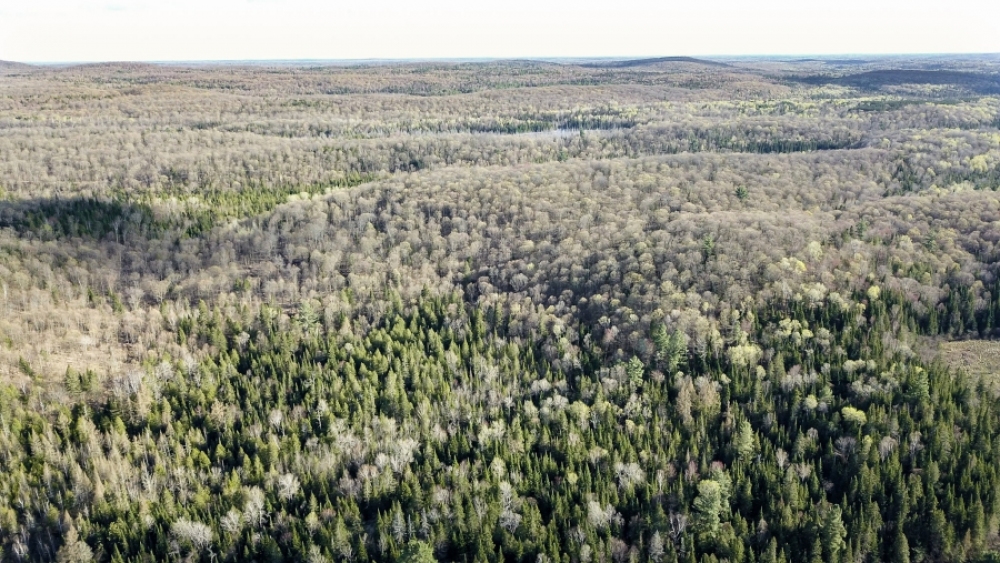 Lot 5, Con 15, Hwy 118, Highlands East Ontario, Canada