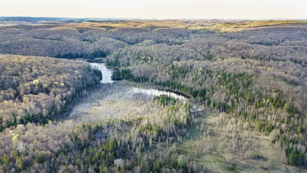 Lot 5, Con 15, Hwy 118, Highlands East Ontario, Canada