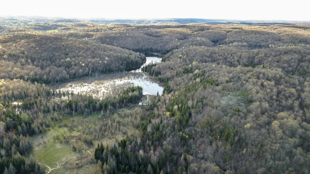 Lot 5, Con 15, Hwy 118, Highlands East Ontario, Canada