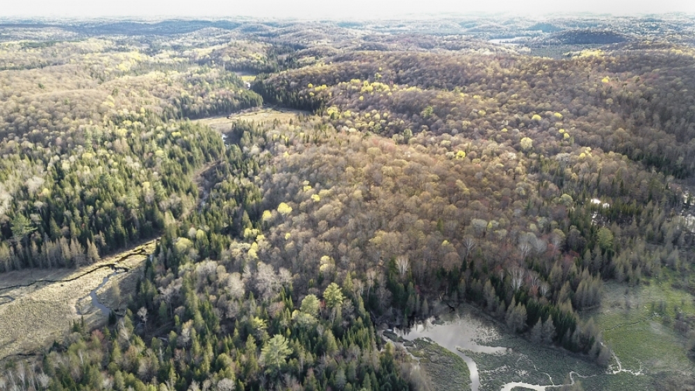 Lot 5, Con 15, Hwy 118, Highlands East Ontario, Canada