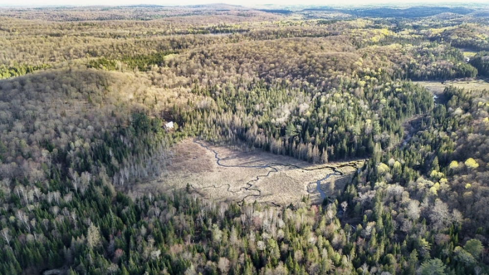 Lot 5, Con 15, Hwy 118, Highlands East Ontario, Canada