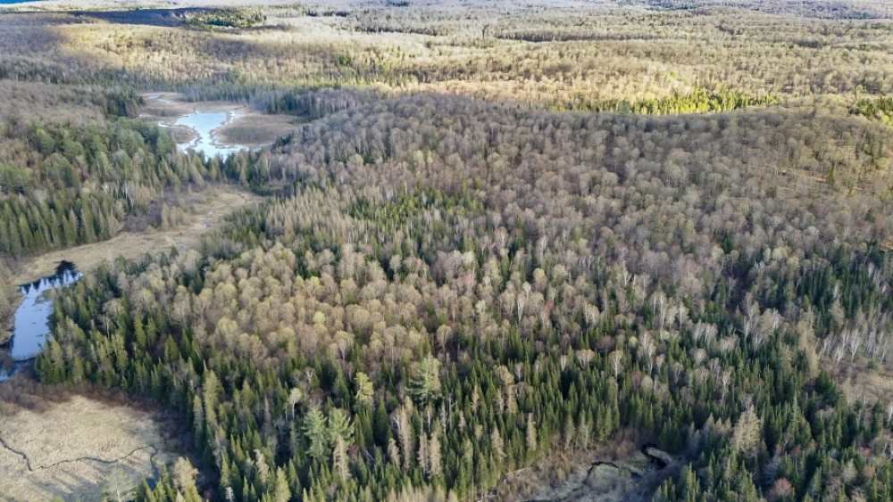 Lot 5, Con 15, Hwy 118, Highlands East Ontario, Canada