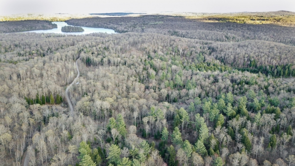 Lot 5, Con 15, Hwy 118, Highlands East Ontario, Canada