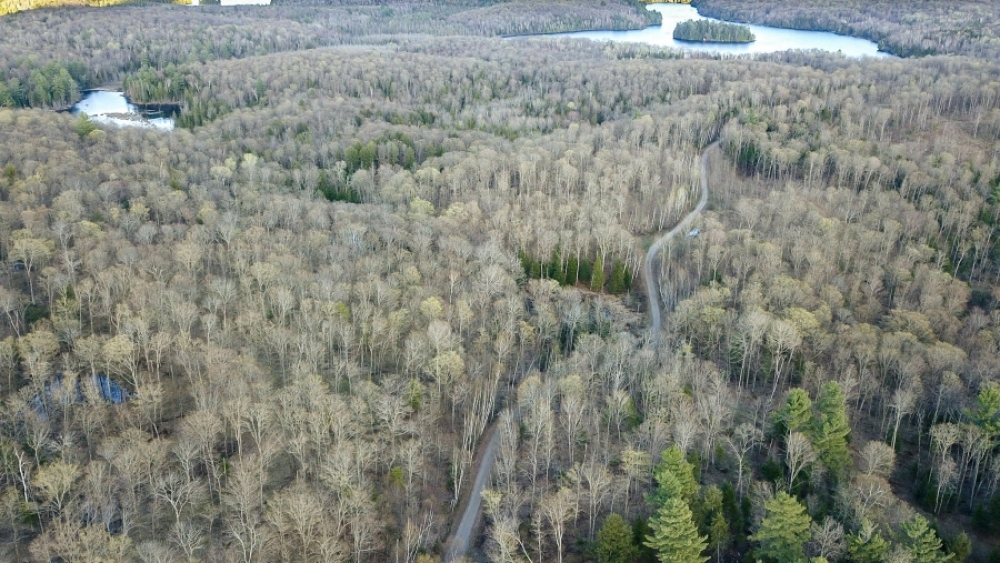 Lot 5, Con 15, Hwy 118, Highlands East Ontario, Canada