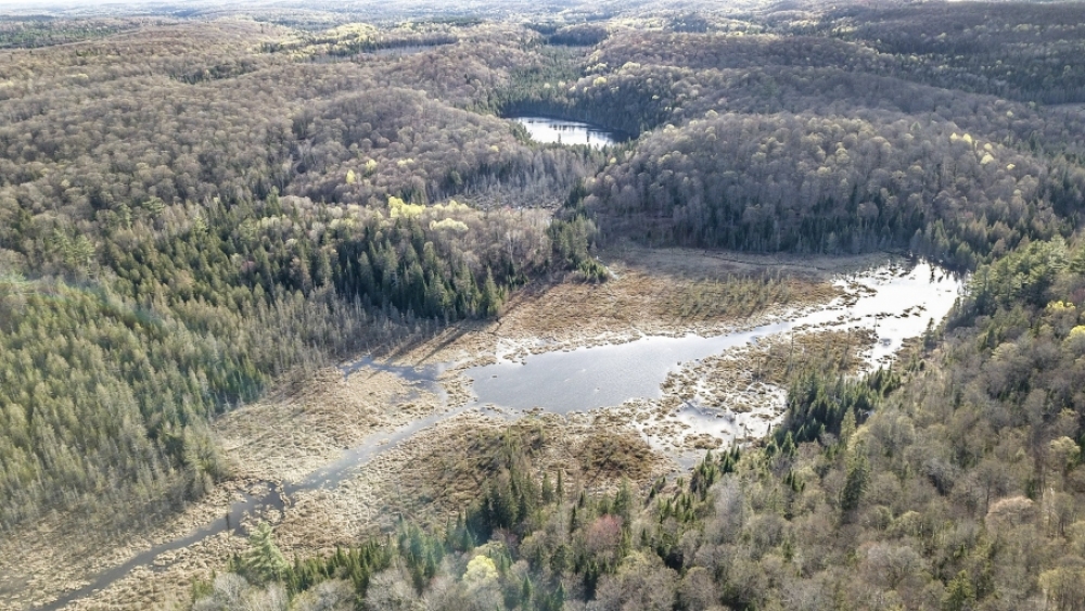 Lot 5, Con 15, Hwy 118, Highlands East Ontario, Canada