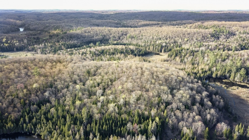 Lot 5, Con 15, Hwy 118, Highlands East Ontario, Canada