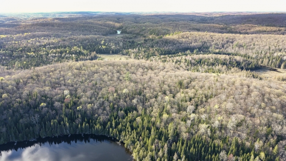 Lot 5, Con 15, Hwy 118, Highlands East Ontario, Canada