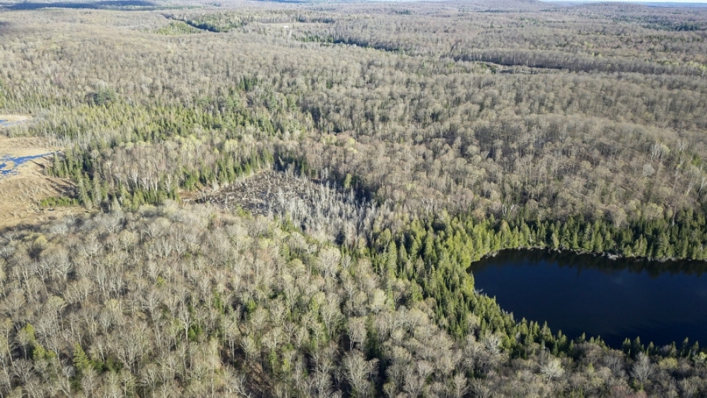 Lot 5, Con 15, Hwy 118, Highlands East Ontario, Canada