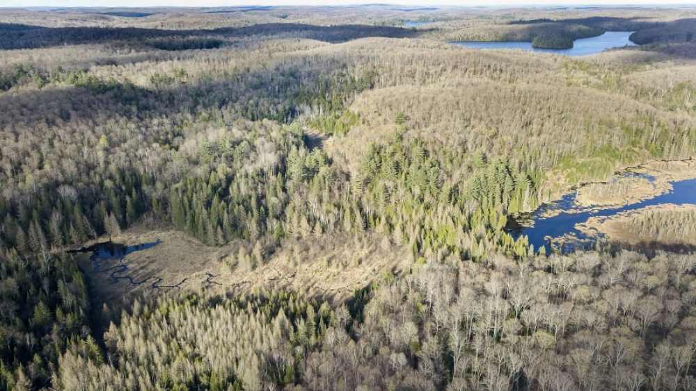 Lot 5, Con 15, Hwy 118, Highlands East Ontario, Canada