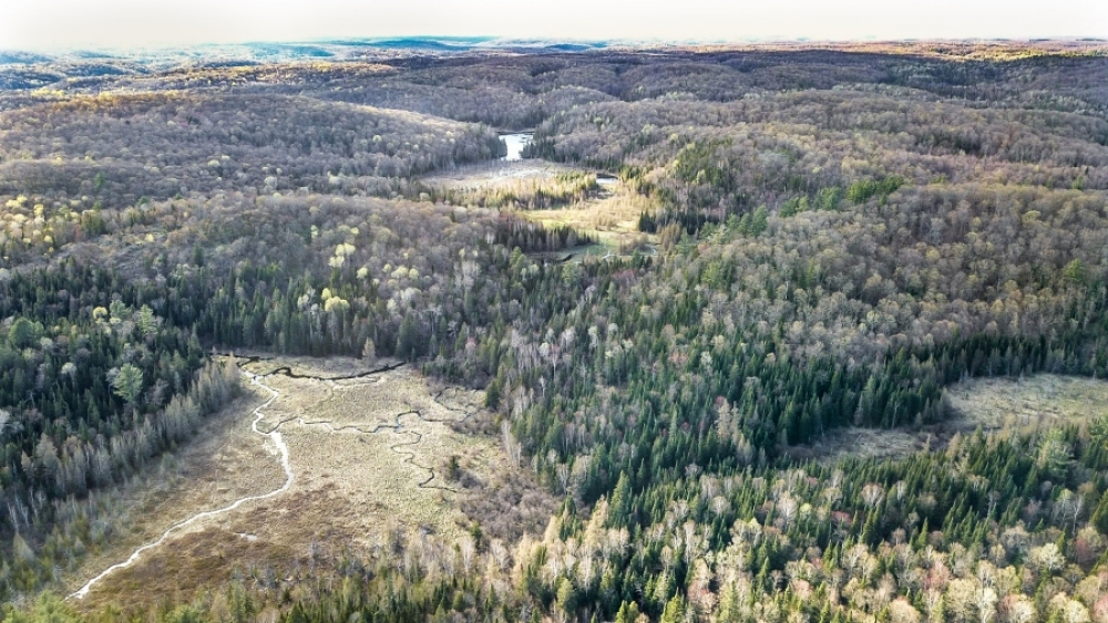 Lot 5, Con 15, Hwy 118, Highlands East Ontario, Canada