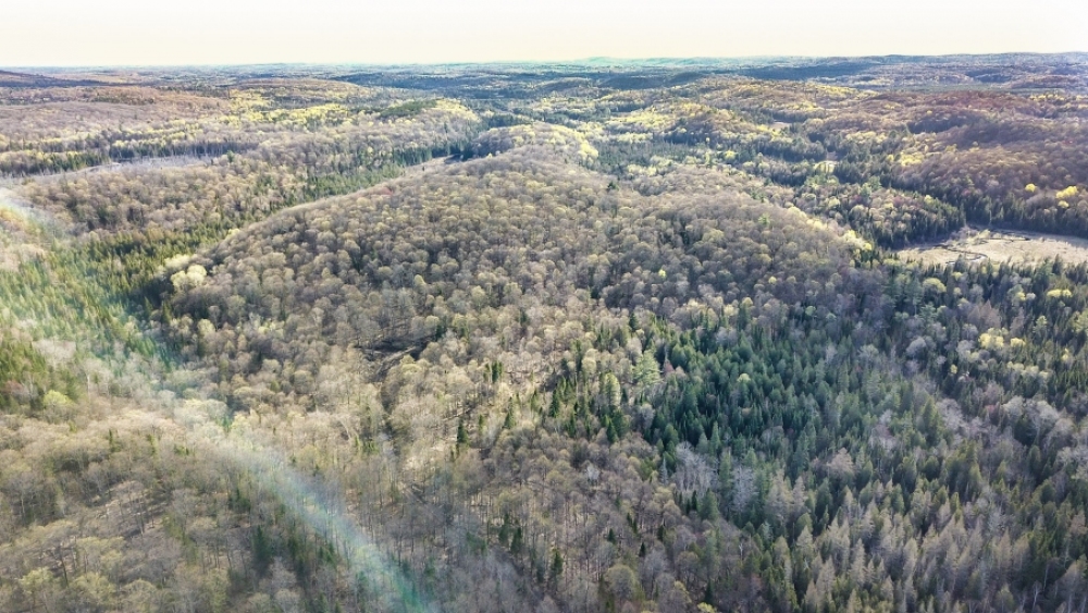 Lot 5, Con 15, Hwy 118, Highlands East Ontario, Canada
