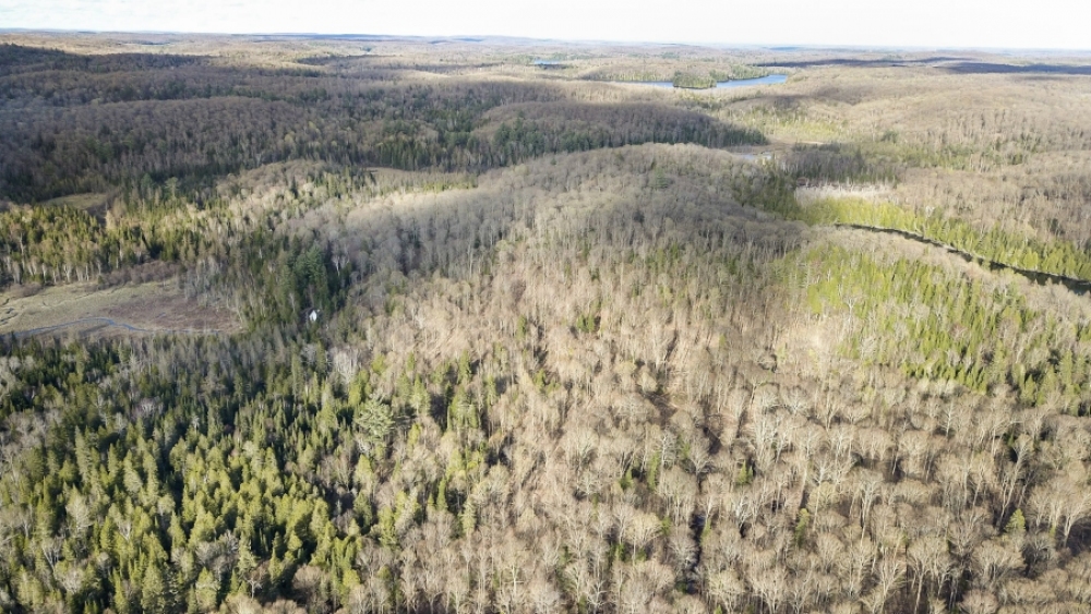 Lot 5, Con 15, Hwy 118, Highlands East Ontario, Canada