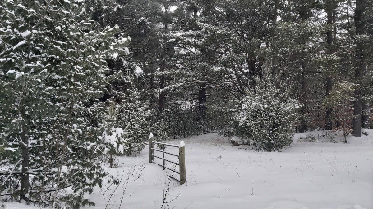 0 Hasler Rd., Flinton K0H 1P0, Addington Highlands, Ontario, Canada photo 1