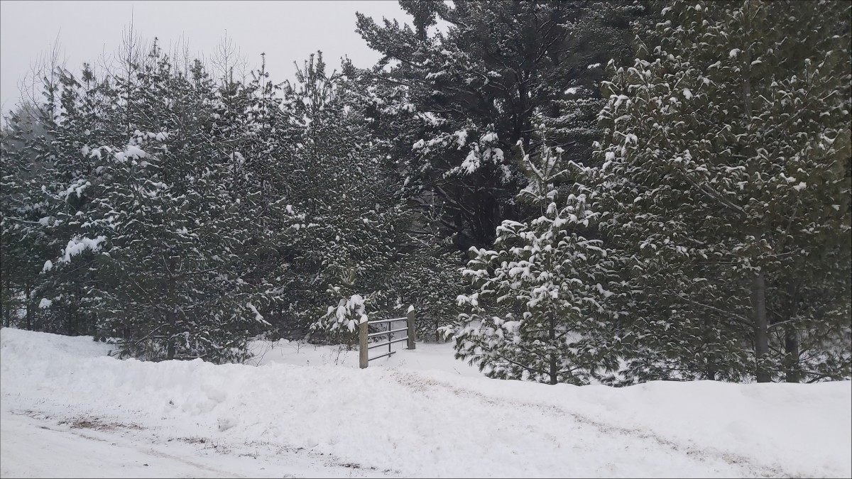 0 Hasler Rd., Flinton K0H 1P0, Addington Highlands, Ontario, Canada photo 2