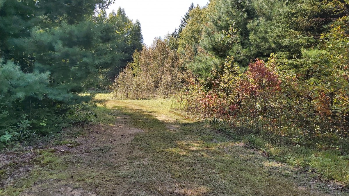 0 Redford Drive, Denbigh ON K0H 1L0, Addington Highlands, Ontario, Canada photo 14